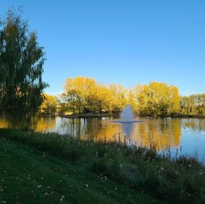 Meet your Posher, Odessa